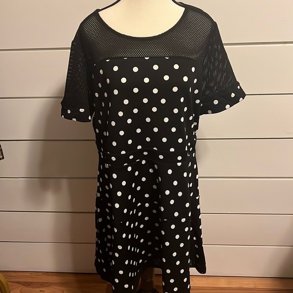 NY Collection Dresses & Skirts - NY Collection Polka Dot Mesh Dress